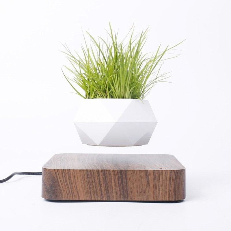 Levitating floating plant pot lamp as a gift