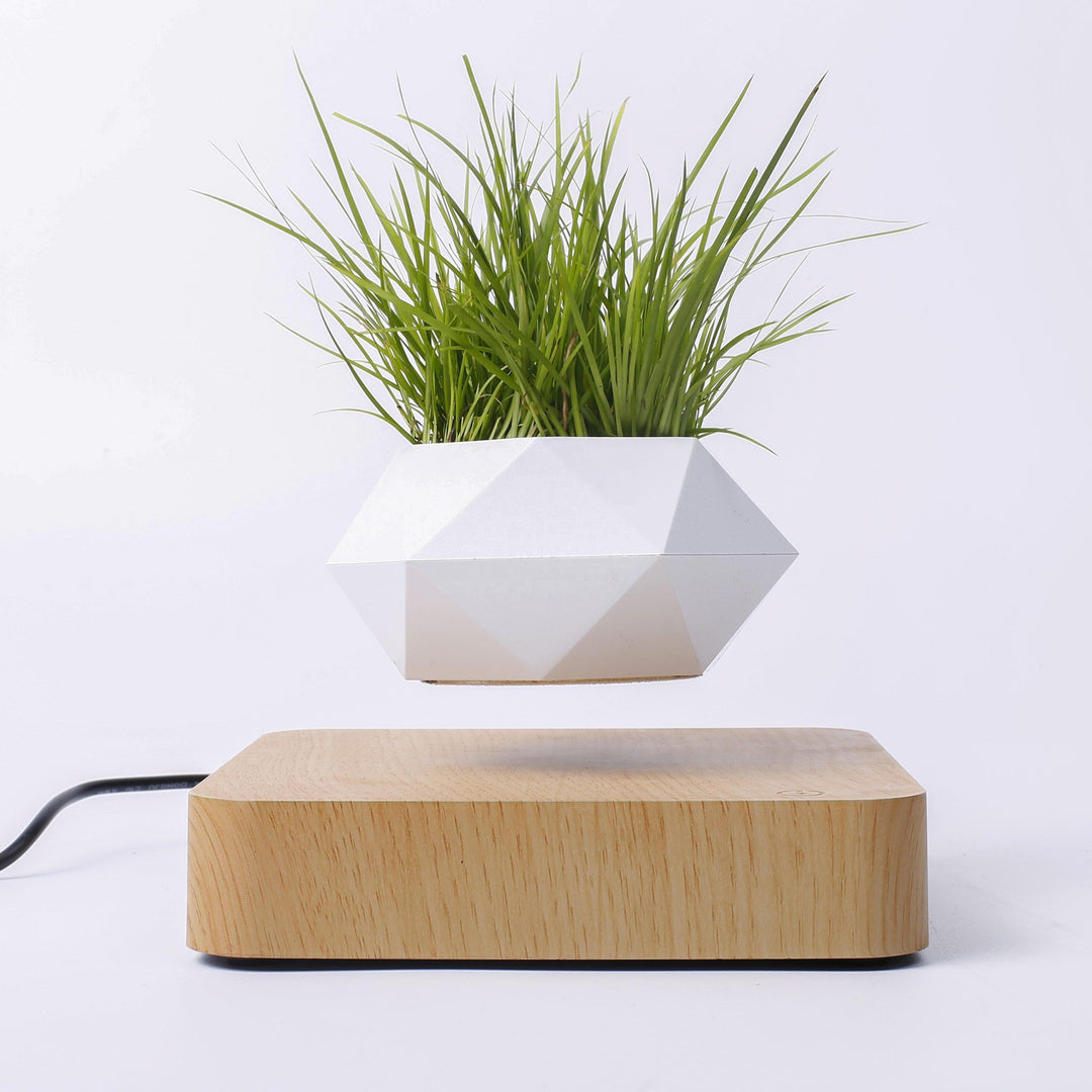Levitating Floating Plant Pot / Lamp