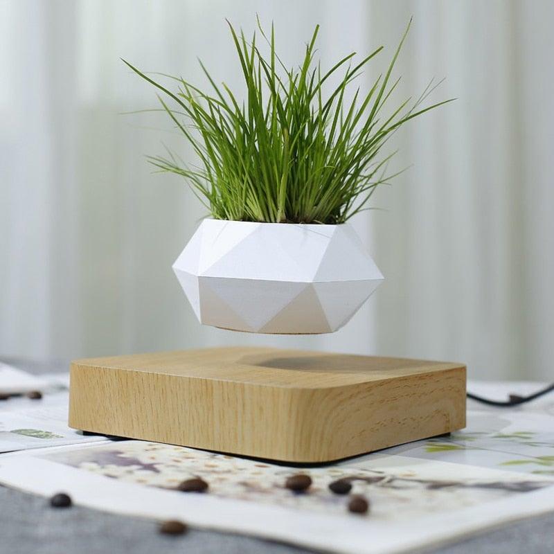 Levitating Floating Plant Pot / Lamp